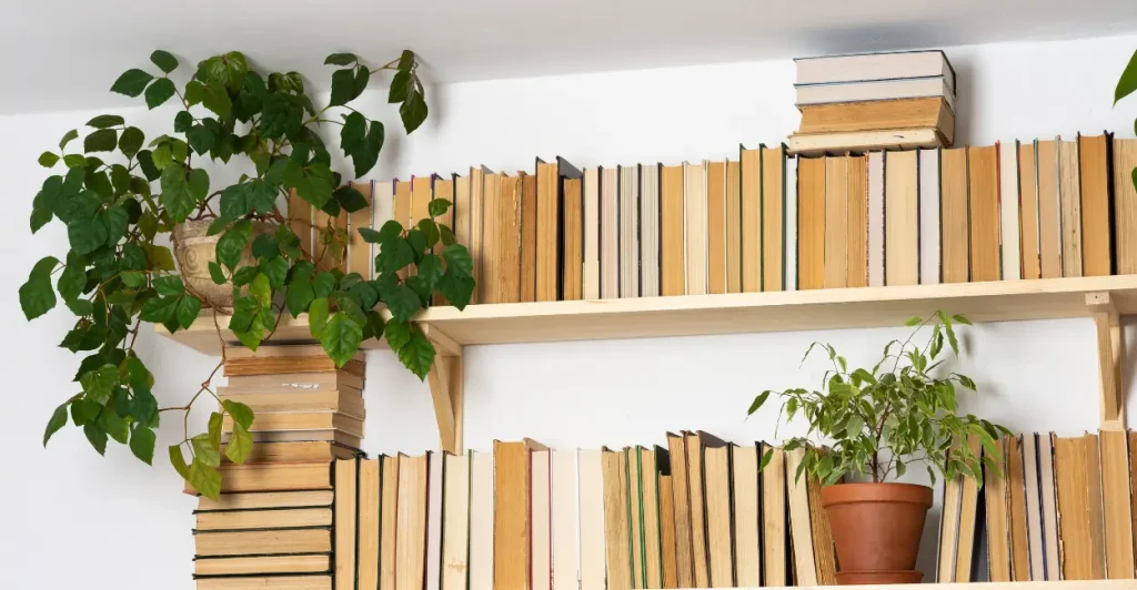 realismo e naturalismo na literatura brasileira