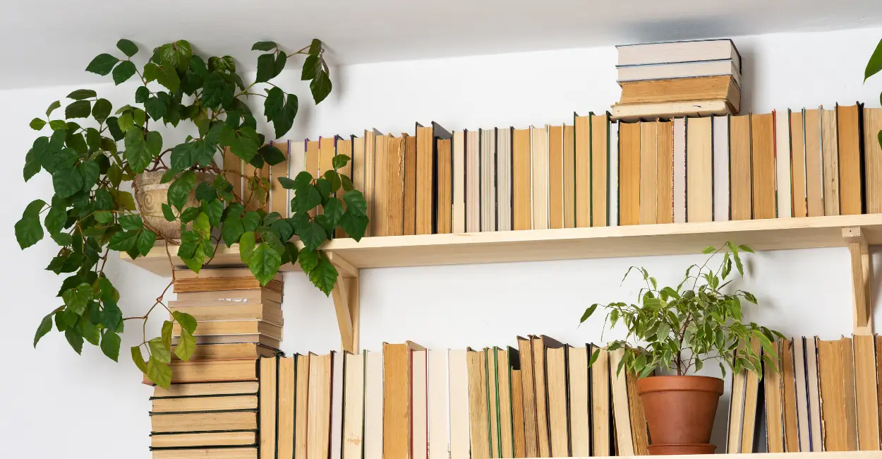 realismo e naturalismo na literatura brasileira