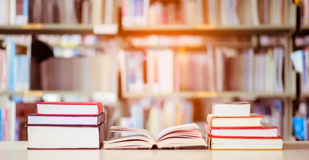 Ranking dos livros mais vendidos na primeira quinzena de outubro de 025