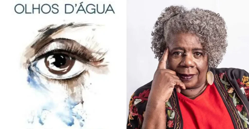 Resumo do Livro Olhos D´Água de Conceição Evaristo