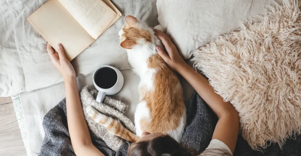 Guia completo para volta a ler em 2026